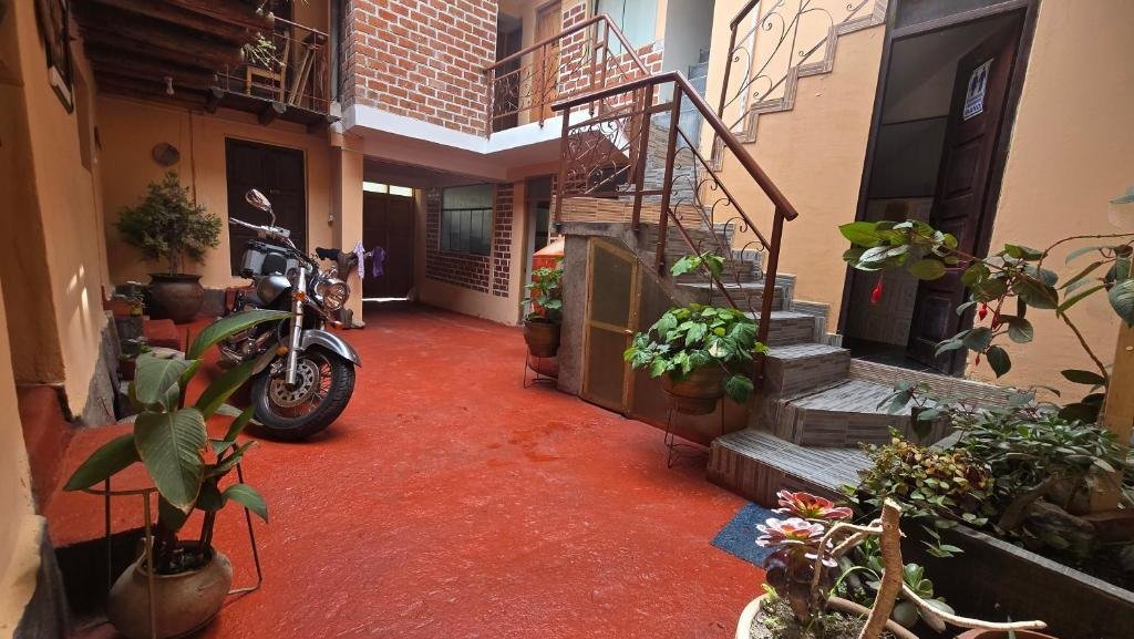 Detalles de nuestro patio